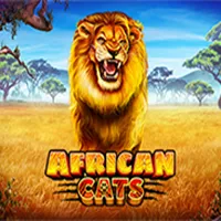 African Cats