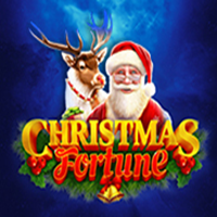 Christmas Fortune