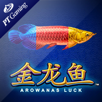 Arowanas Luck